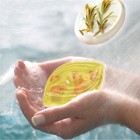 Soapyfun Rohseife transparent, 250g / 500 g oder 1000 g