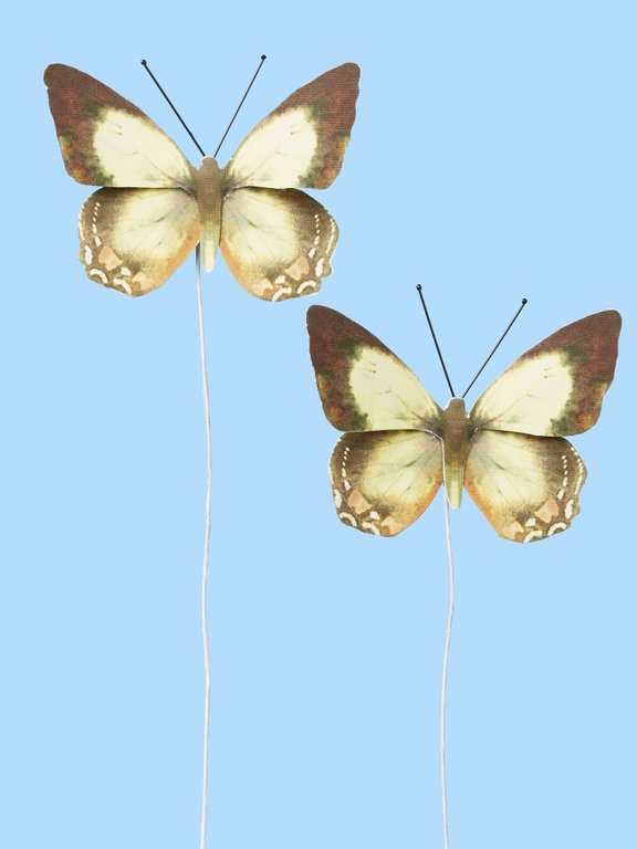 Schmetterling X, 2 Stück, braun-beige, ca 6 cm