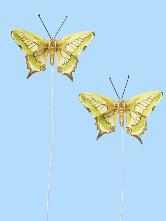 Schmetterling IX, 2 Stück, grün-beige, ca 6 cm