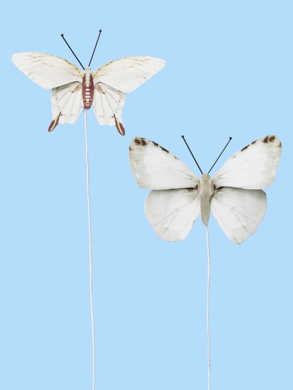 Schmetterling V, 2 Stück, weiß, ca 6 cm