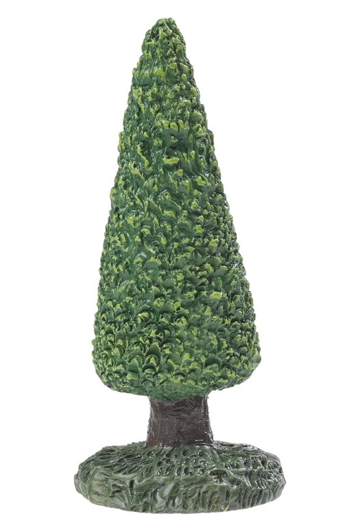Buchsbaum spitz, ca. 7 cm, 1 Stück